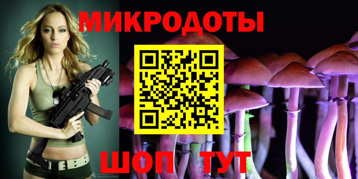 Галлюциногенные грибы Psilocybe  Вход с VPN  купить наркоту  Курчатов 