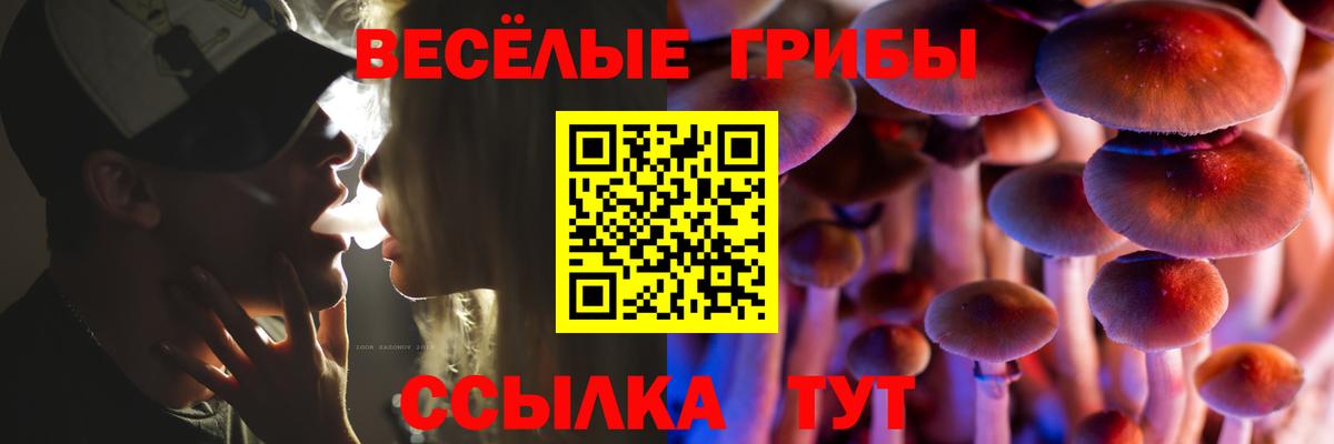 Псилоцибиновые грибы прущие грибы Курчатов